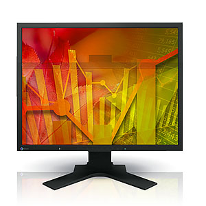 EIZO PROFESSIONAL COLOR DISPLAY Flexscan LCD 21.3
